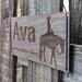 Engraved Horse name plaque with a Western Pleasure horse image, Dark Walnut wood stain, and font choice . Hanging with black suede cord